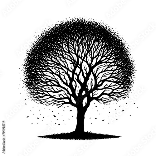  Sycamore Tree Vector silhouette- Portraying the Graceful Presence of Sycamore Tree- Illustration of Sycamore Tree- Sycamore tree portrait.