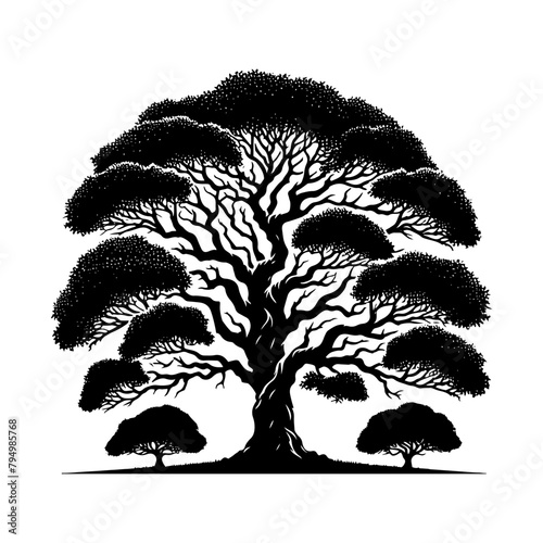  Sycamore Tree Vector silhouette- Portraying the Graceful Presence of Sycamore Tree- Illustration of Sycamore Tree- Sycamore tree portrait.