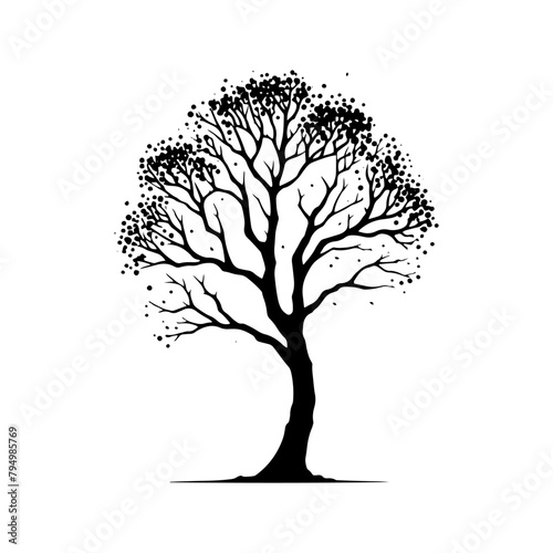  Sycamore Tree Vector silhouette- Portraying the Graceful Presence of Sycamore Tree- Illustration of Sycamore Tree- Sycamore tree portrait.