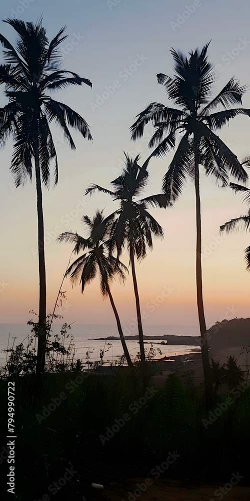 palm trees at sunset palm trees at sunset