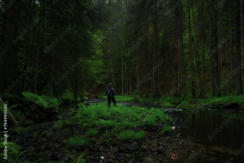 Woman alone in nature, on a forest path, around a stream, walking on the woods