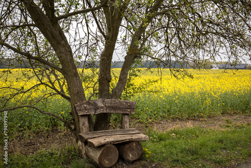 Landschaft
