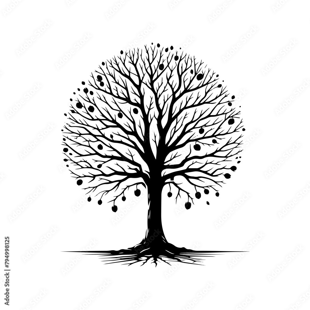 Walnut Tree Vector Silhouette Illustrating the