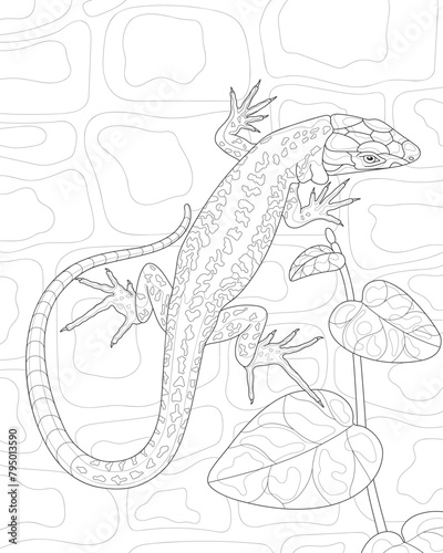 Coloring book for adults. Lizard. Black and white vector image of nature.
