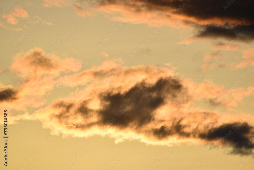 Fototapeta premium clouds in the sky