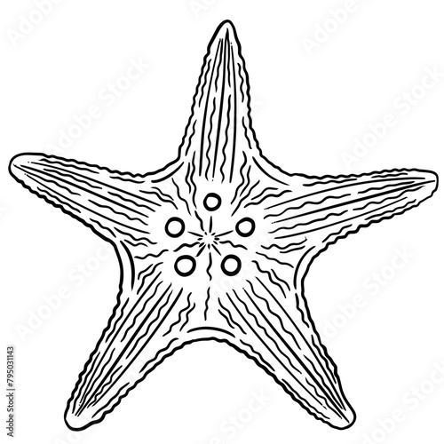 Étoile de mer style noir et blanc