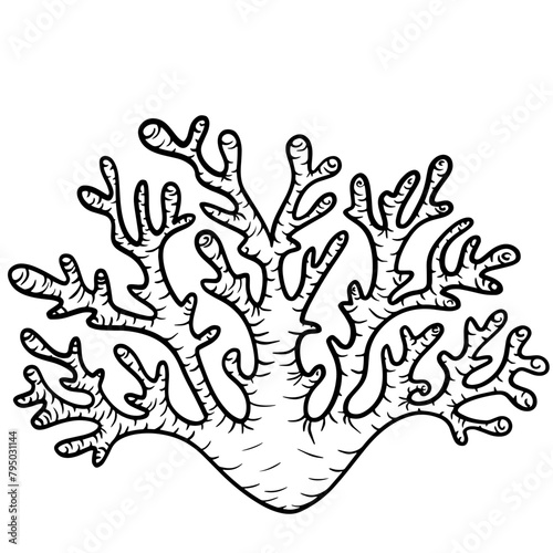 Corail style noir et blanc
