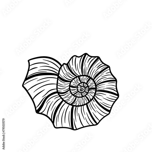 Coquillage en forme d'escargot style noir et blanc