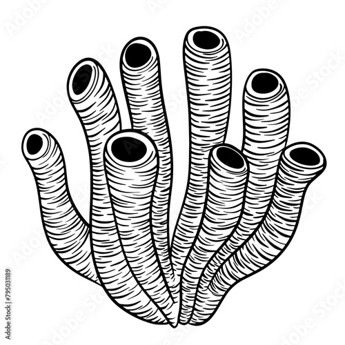 Corail en tube style noir et blanc