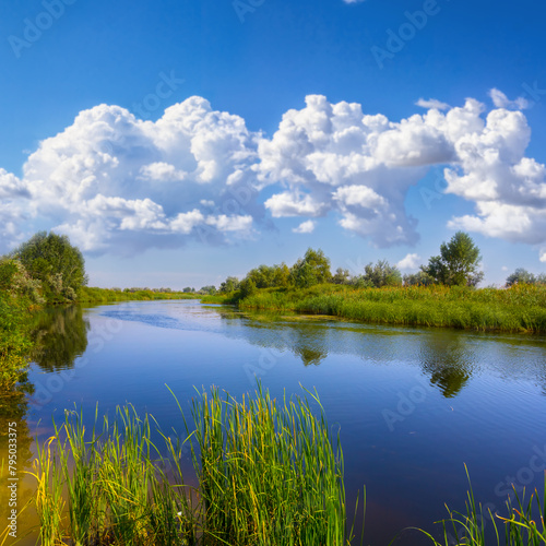 calm summer ruver with forest on coast under cloudy sky, seasonal outdoor landscape photo