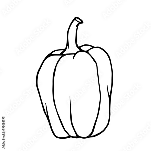 Linear sketch, doodles of vegetables, peppers. Vector graphics.