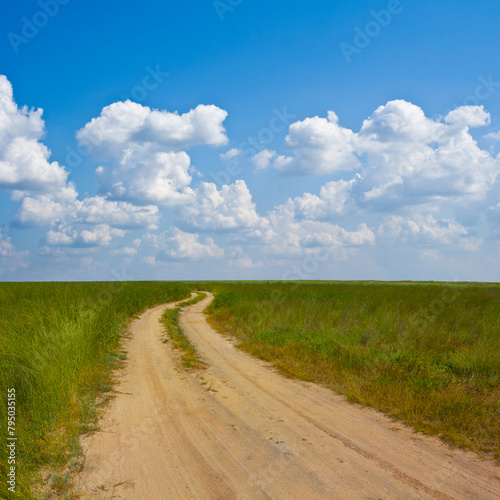 ground road among green rural fields under cumulus clouds