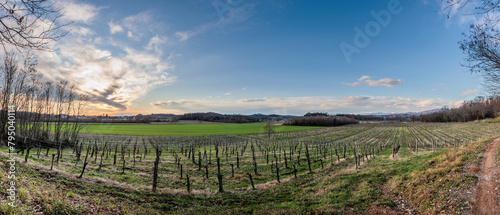 composizione panoramica multipla con vista molto ampia su un ambiente naturale di campagna in pianura nel nord est Italia, di sera, al tramonto, con un cielo prevalentemente sereno photo