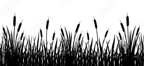 Black silhouette of cattail border in tall grass. Seamless reed border. Swamp grass for design photo