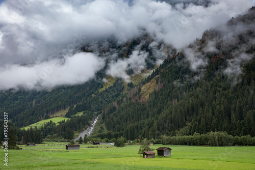 Green Meadow in Stubaital on a Cloudy Summer Day