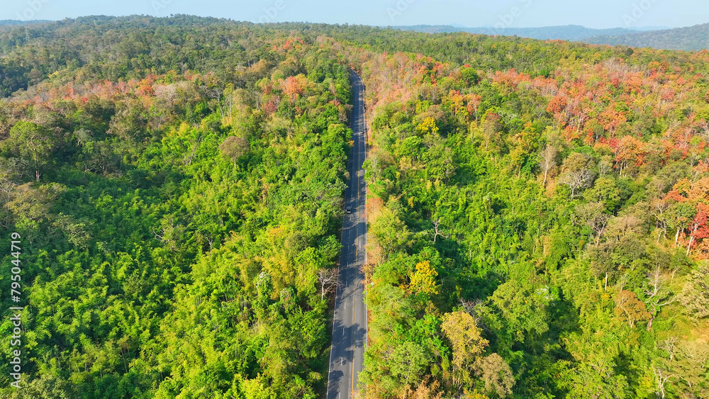 A mesmerizing drone's eye view reveals a road embraced by a tapestry of red, yellow, and orange leaves in Thailand's enchanting dry dipterocarp forest.
