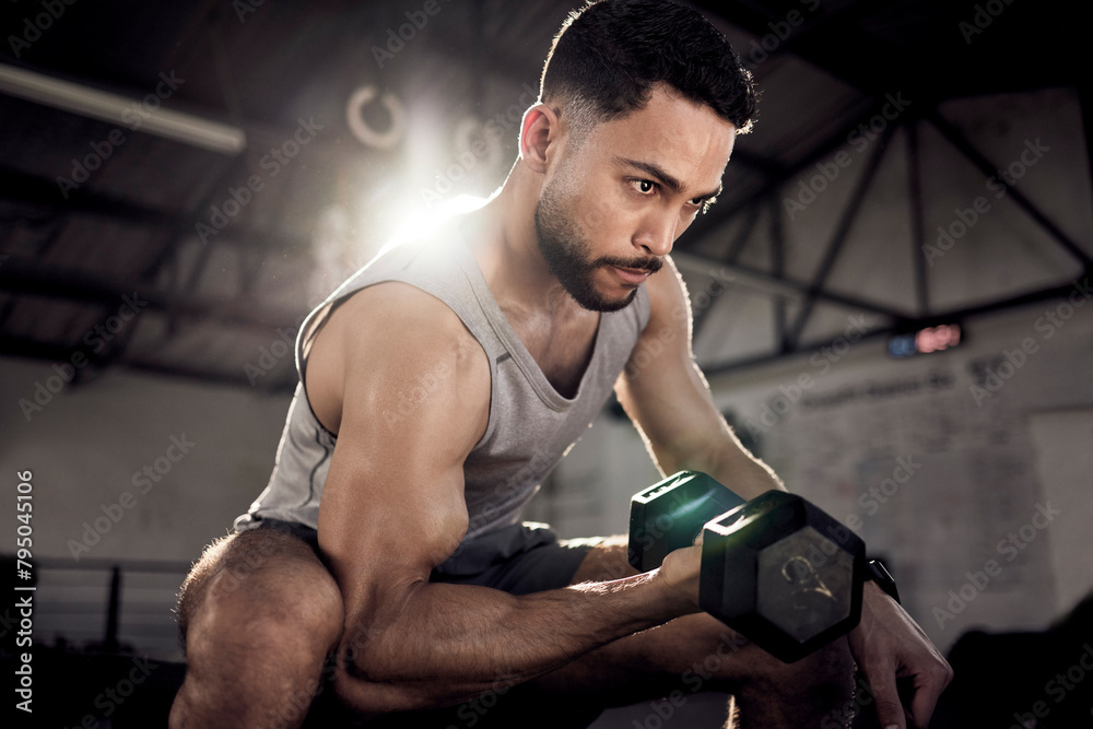 Obraz premium Fitness, dumbbell or strong man training, exercise or workout for powerful arms or muscles at gym. Concentration curls, strength or serious Arab athlete lifting weights or exercising biceps in Dubai