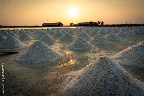 The salt industry is a large and important industry that produces salt, a mineral that is essential for human life.