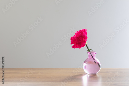 pink carnation in glass vase on white background