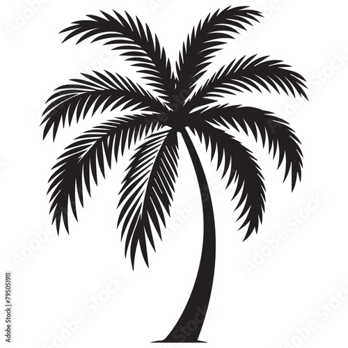 Palm Tree Leaf silhouette Vector Images