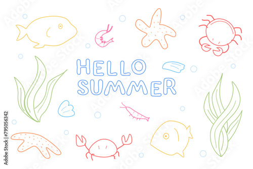 Composition of marine animals and algae. Vector starfish and shrimp, crabs and shells, fish. Creatures of the ocean floor, marine underwater plants, mollusks. Illustration in outline style