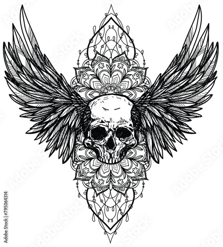 tattoo art skull  and pinion sketch black and white