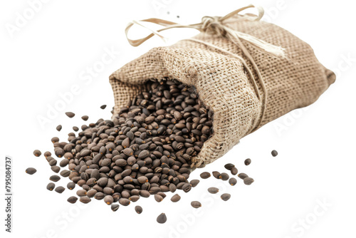 Bundles of Gardening Seeds for a Bountiful Harvest On Transparent Background. photo