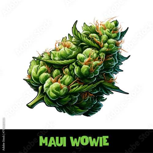 Vector Illustrated Maui Wowie Cannabis Bud Strain Cartoon (ID: 795089335)