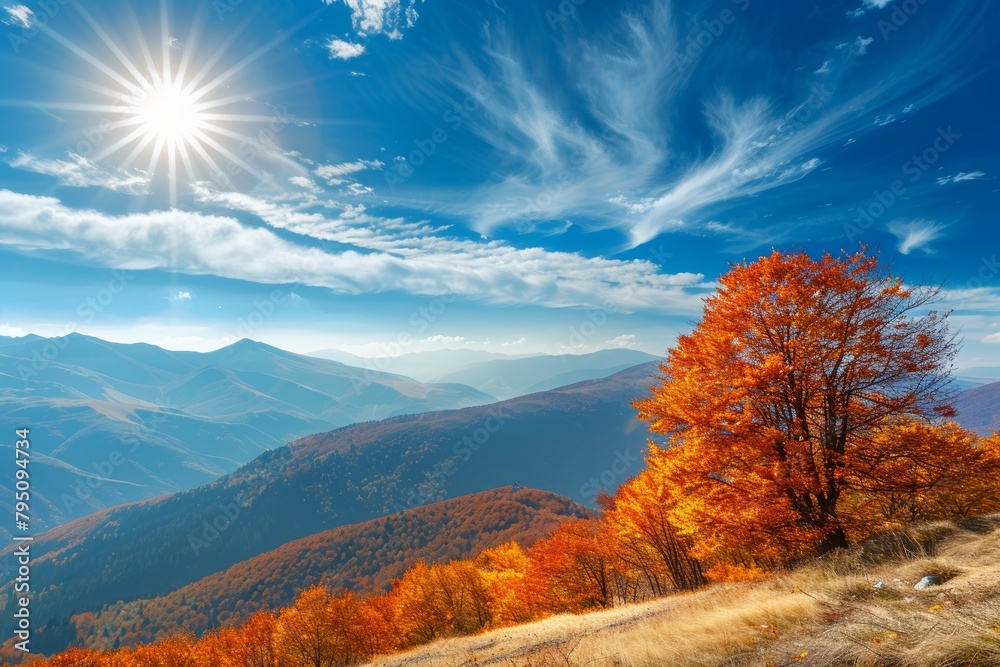 Fototapeta premium Sunny day panoramic autumn mountain landscape with blue sky and colorful trees in fall season