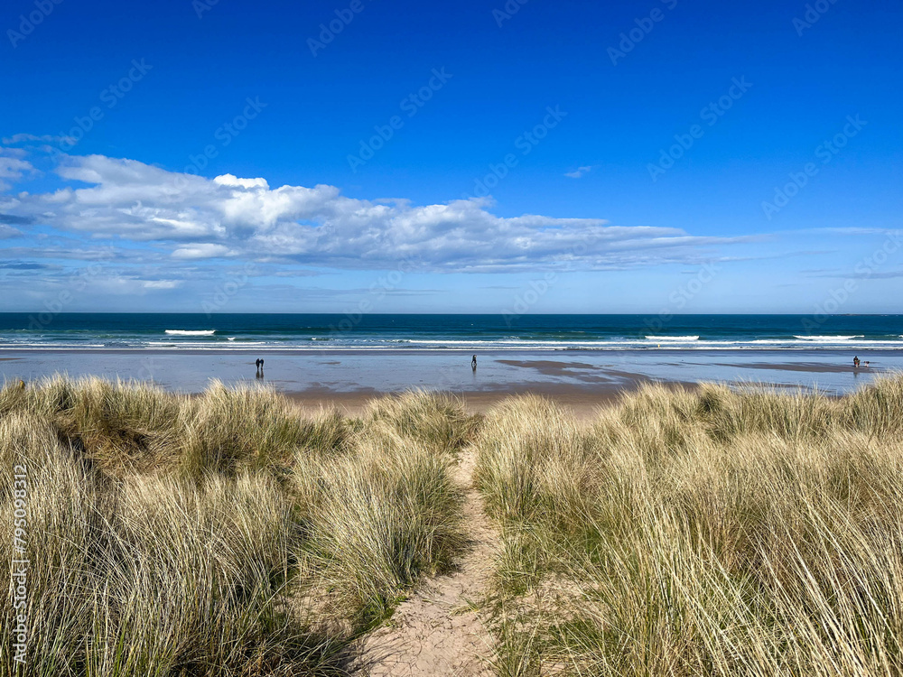 Bamburgh beach and castle, sand dunes, Northumberland coastal area, England 