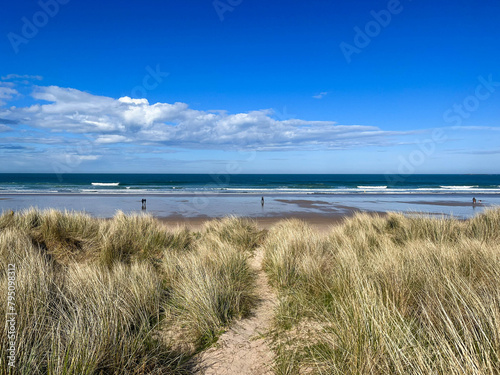 Bamburgh beach and castle, sand dunes, Northumberland coastal area, England 