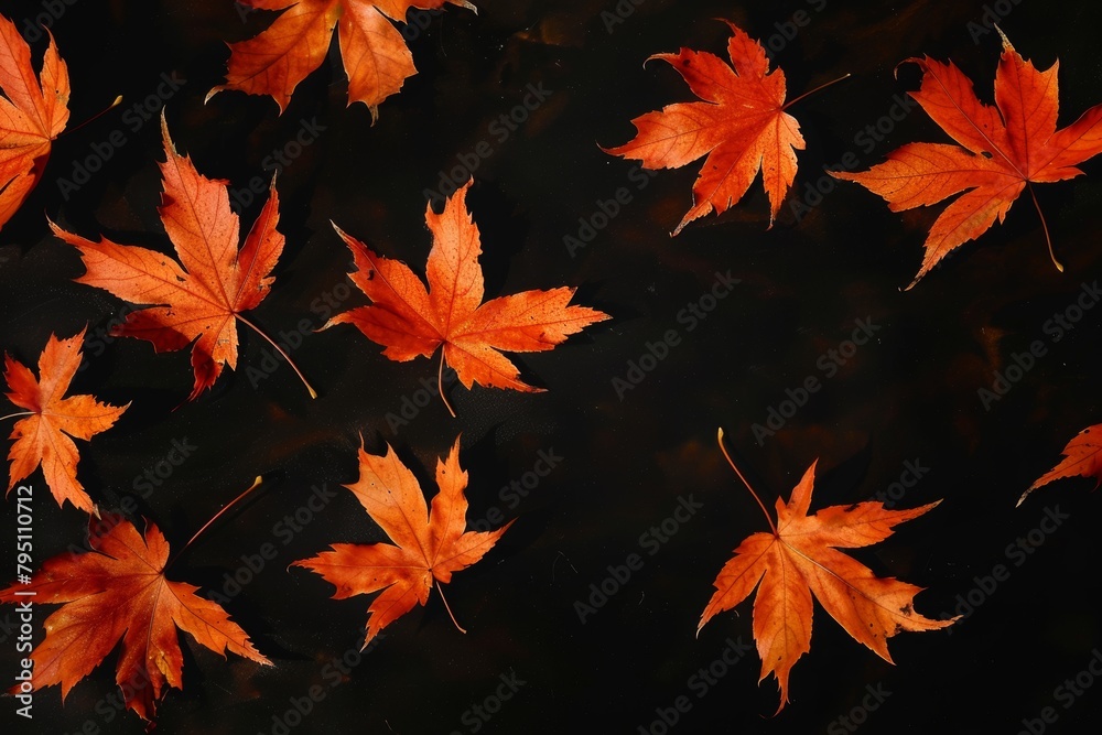 Vibrant orange maple leaves against a stark black background, capturing the essence of autumn. Vibrant orange maple leaves against a stark black background, capturing the essence of autumn.