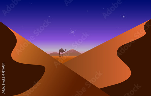 Desert landscape with a camel. Violet-purple night starry sky over the desert. Vector illustration