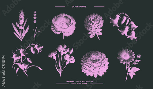Set of flowers photocopy negative effect. Chamomile, bell flower, chrysanthemum, clover, lavender collection with grunge noise texture. Vector illustration photo