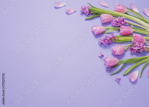 spring flowers on purple paper background