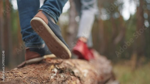 Wallpaper Mural couple walking in the forest. nature dream concept. young people, a guy and a girl, walk through the autumn coniferous forest climbing on a large fallen tree. couple walking through a cold evening Torontodigital.ca
