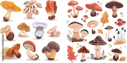 Forest ceps. Cartoon oyster mushrooms, autumn harvesting mushroom, wild amanita, tasty shiitake boletus photo
