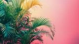 Palm Tree in Front of Pink and Yellow Background