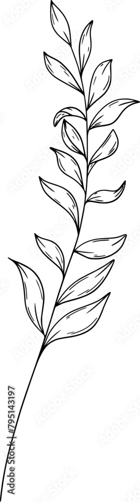 Hand drawn leaves Hand drawn leaves