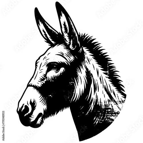 Stylized Donkey Head Illustration Black and White Equine Portrait