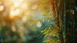 Sun Shining Through Bamboo Tree Leaves