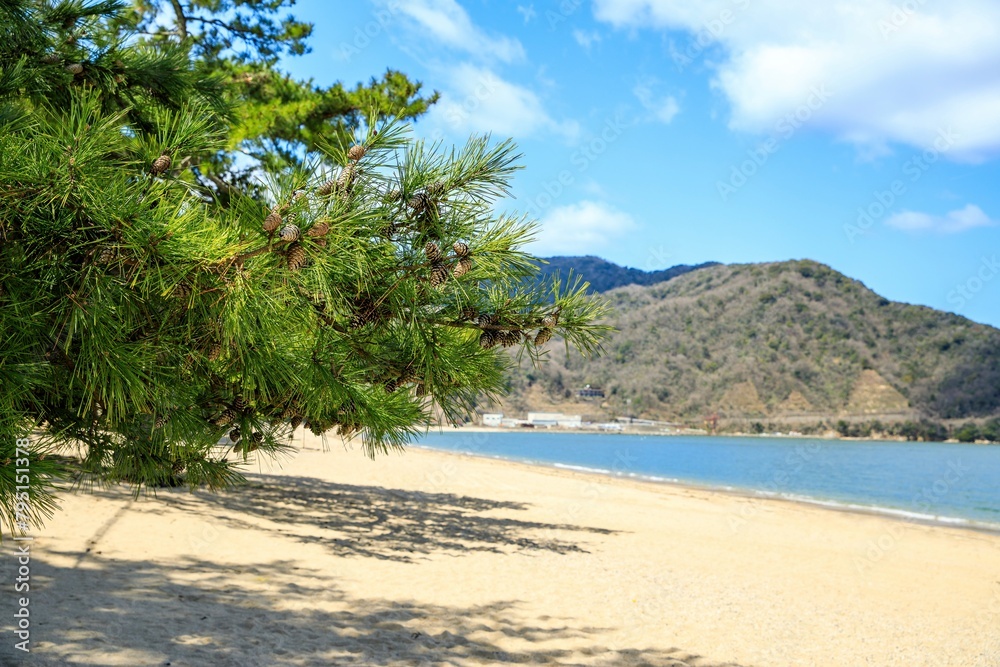 敦賀市、晴天の気比の松原