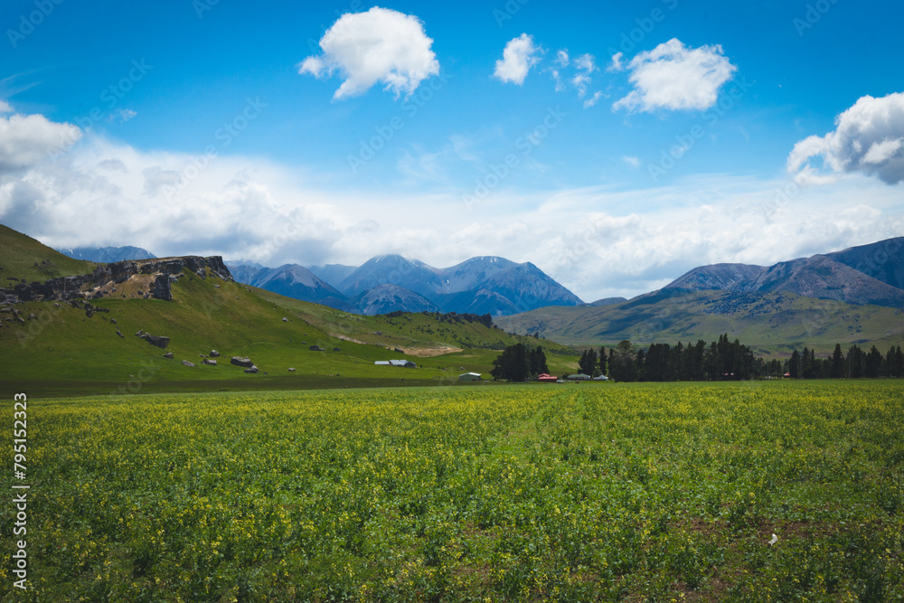 Beautiful vista with green fields, trees, farm houses and mountains