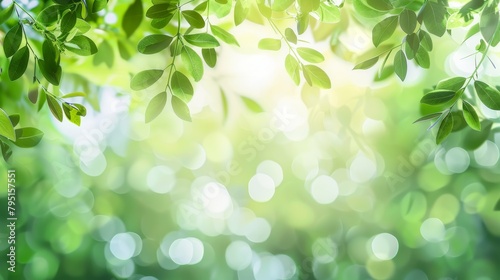 Fresh green leaves outlined by a soft bokeh of sunlight, capturing the essence of a vibrant, lively forest.