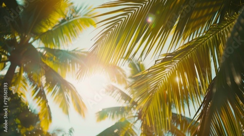 Sunlight streams through palm leaves  highlighting the intricate patterns and tropical ambiance of an island morning.