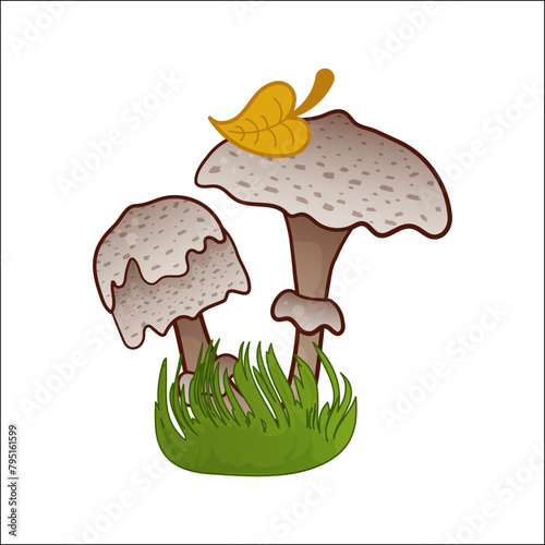 Mushroom vector isolated illustration. Toadstool in cartoon. Plants, botanists, not edible mushroom. Design element for theme forest mushrooms, menu, ingredients, recipes, organic products, etc.