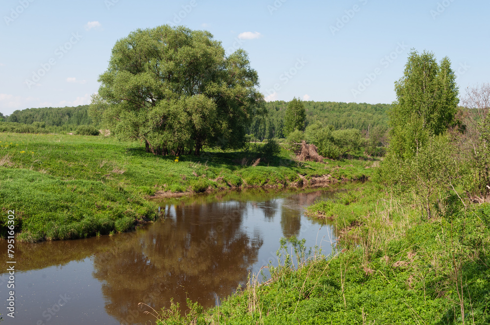 Fototapeta premium Country landscape, small river, some trees on river bank, blue sky, spring time