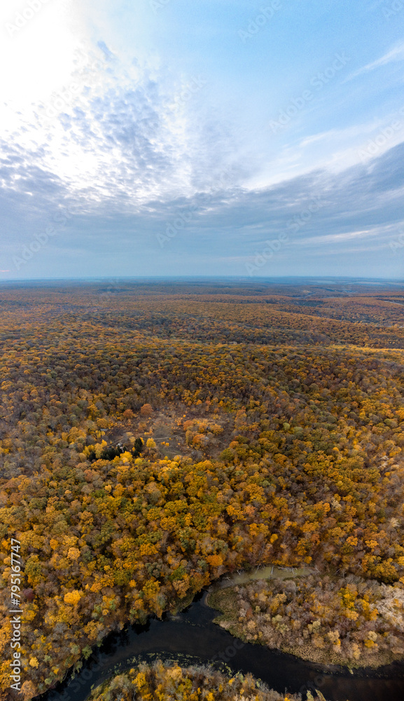 Obraz premium Aerial autumn river curve in colorful forest on hills vertical panorama