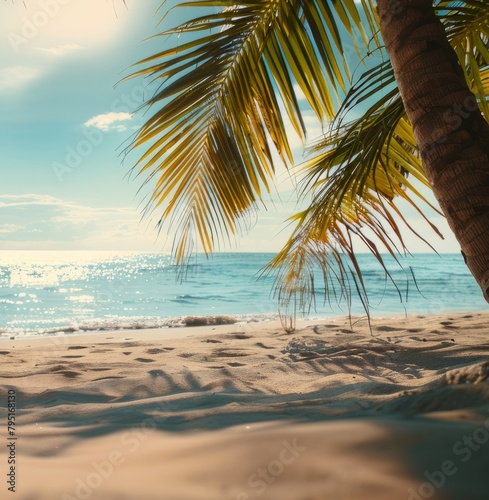 Pristine beach with palm trees, white sand and blue sea. copy space