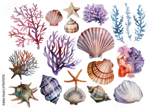 Watercolor Seashells clipart isolated on white background. sea clipart. Shell set, beach scenery. Watercolor starfish and other seashells in tropical illustration. Stickers set, summer print, design